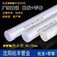 小米18 Pro系列还有One More Thing！透明版时隔6年要回归了